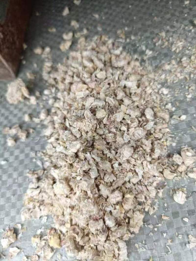 优质棉籽壳出售