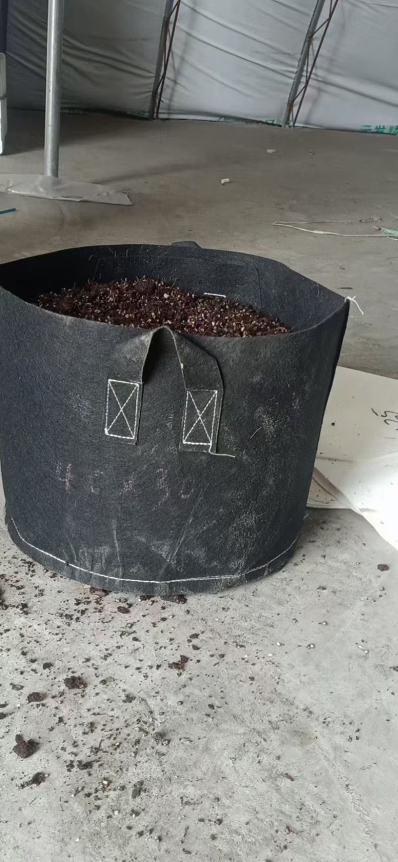 美植袋，加厚育苗袋，植树袋，大号树苗移盆