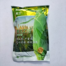 美玉27号白甜糯玉米种籽高产矮杆大棒甜加糯白糯玉米大田苞