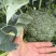 西兰花