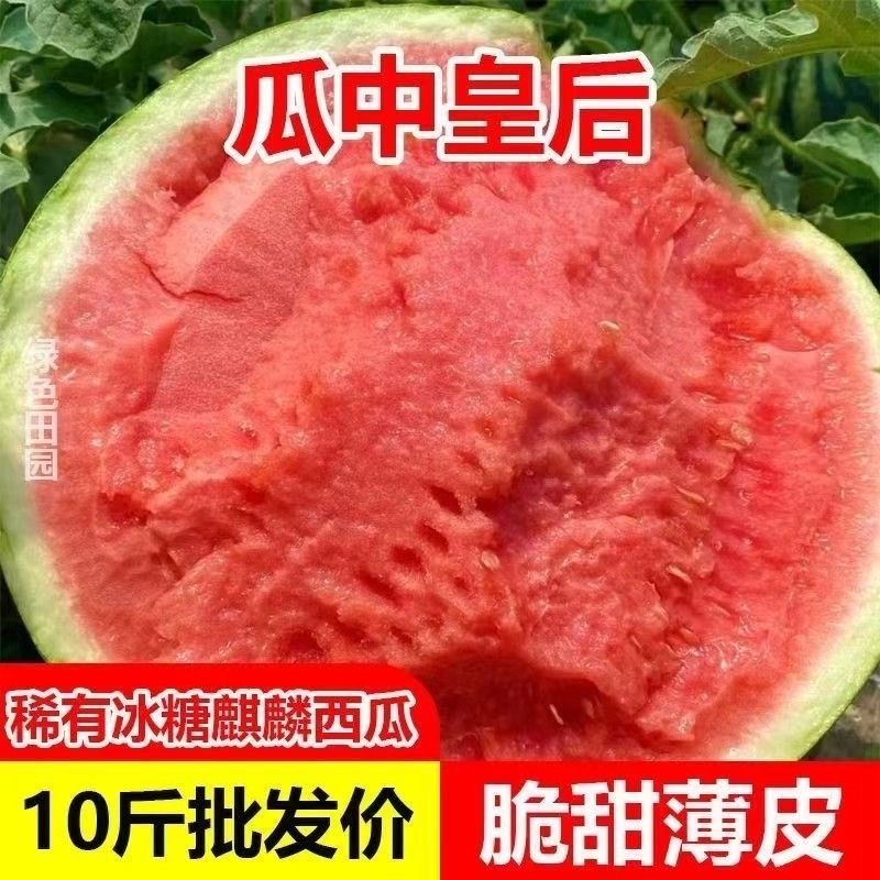 云南高山麒麟瓜