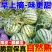云南高山麒麟瓜