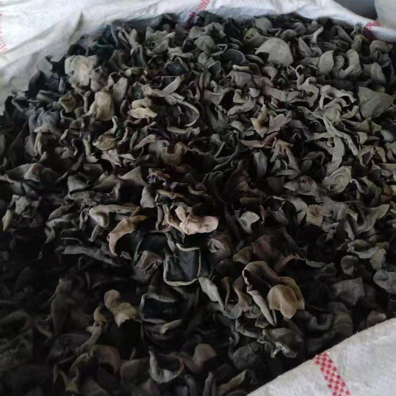 东北木耳批发肉厚好吃原干货泡发率高