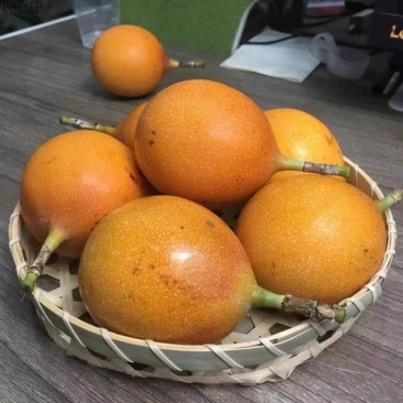 云南热情果