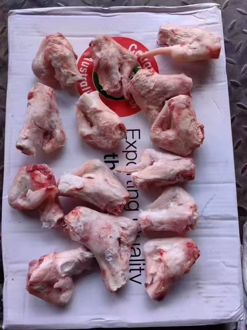羊拐筋