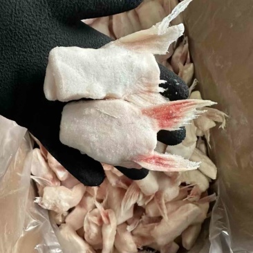 单冻鱼鳍巴沙鱼翅板冻商用烧烤食材