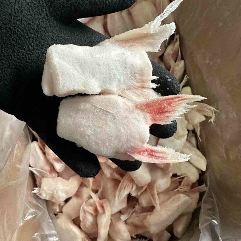 单冻鱼鳍巴沙鱼翅板冻商用烧烤食材