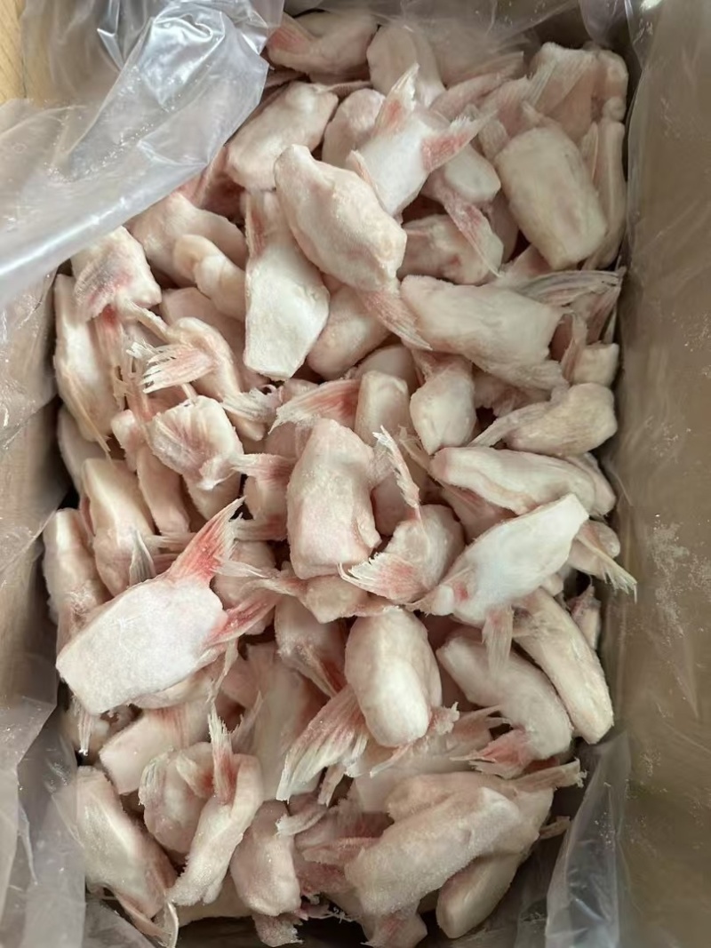 单冻鱼鳍巴沙鱼翅板冻商用烧烤食材