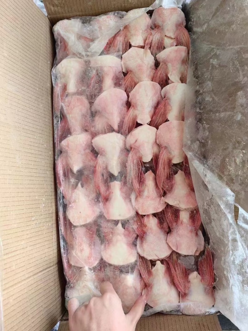 单冻鱼鳍巴沙鱼翅板冻商用烧烤食材
