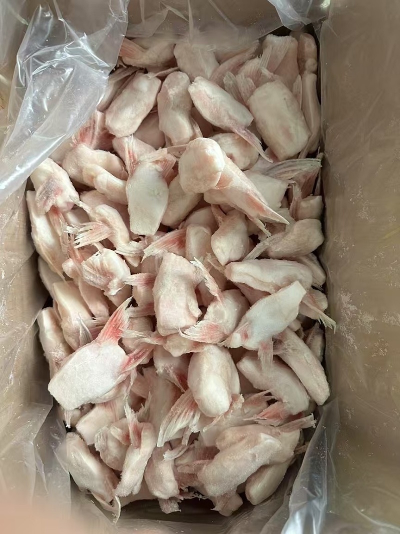 单冻鱼鳍巴沙鱼翅板冻商用烧烤食材