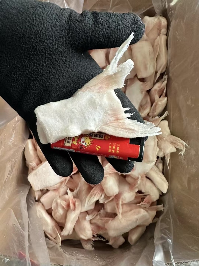 单冻鱼鳍巴沙鱼翅板冻商用烧烤食材