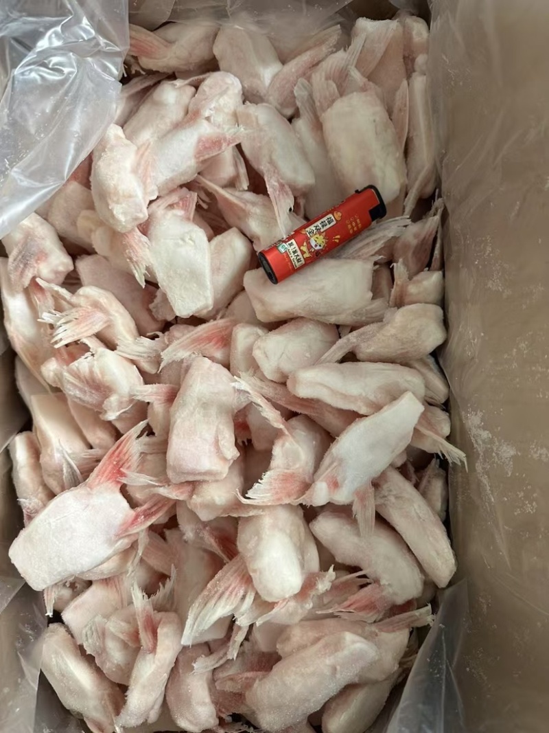 单冻鱼鳍巴沙鱼翅板冻商用烧烤食材