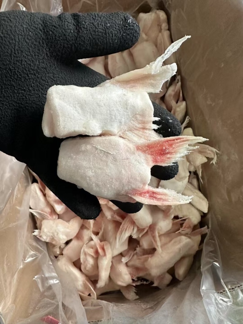 单冻鱼鳍巴沙鱼翅板冻商用烧烤食材