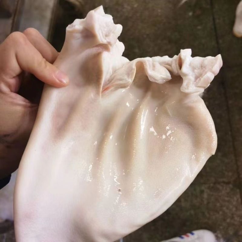 耳朵新鲜冷冻猪耳朵大根耳朵生耳朵净重10斤15片左右