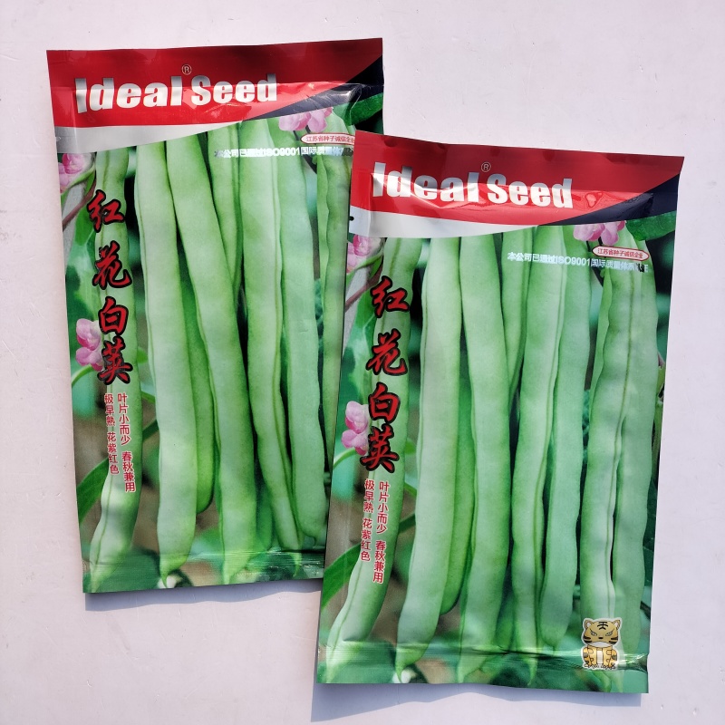 理想农业红花白荚四季豆种子早熟蔓生花冠紫红色架豆种籽春播