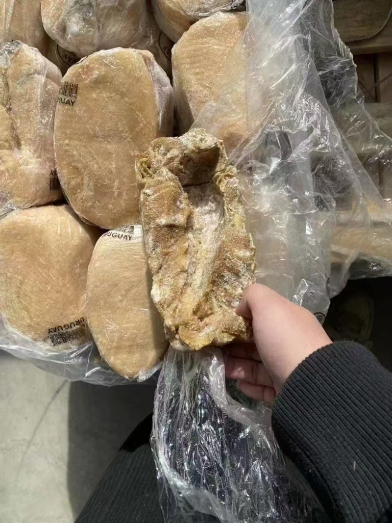 纯干牛百叶