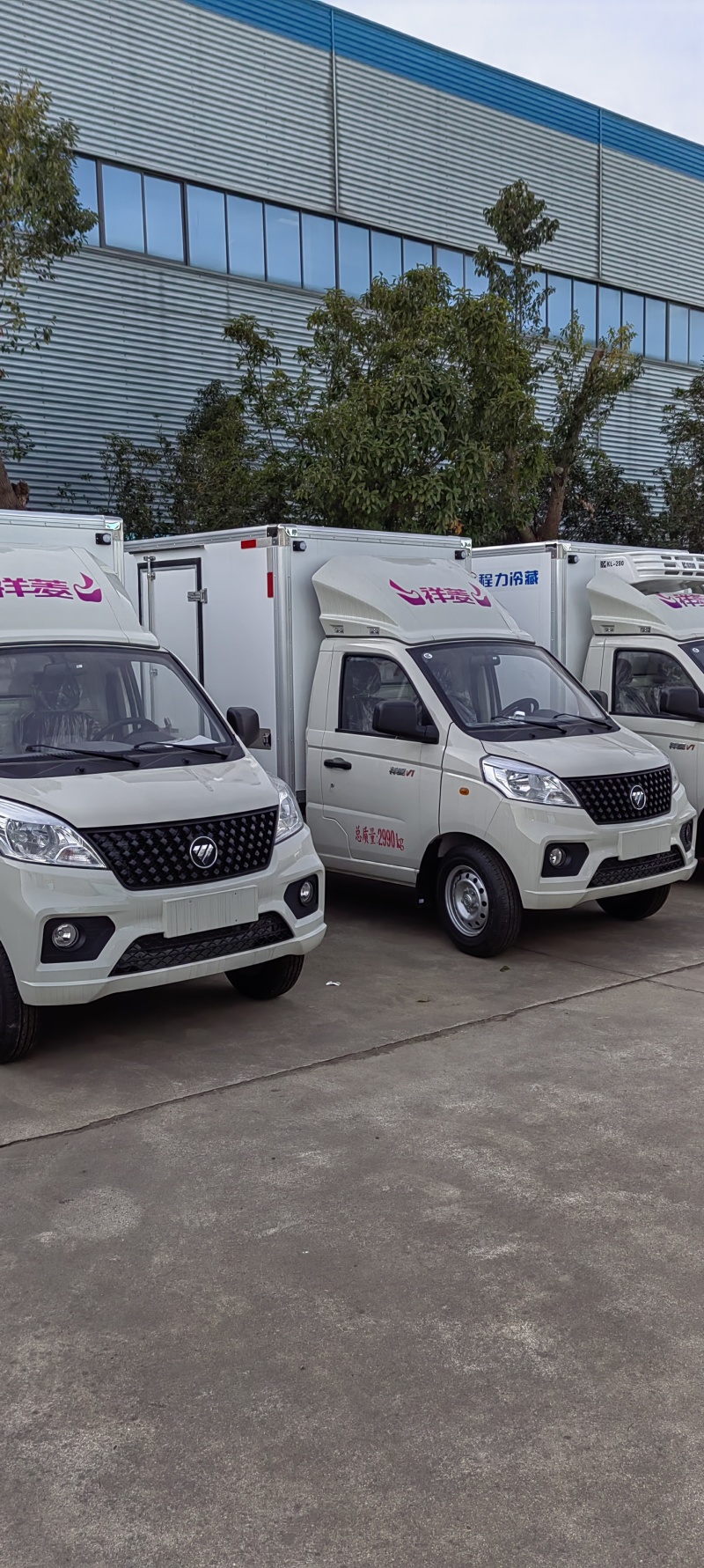 福田祥菱V1小型冷藏车