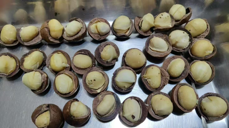 (全国可发）夏威夷果坚果炒货批发大中小果奶香味道