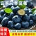 一件代发～云南花香蓝莓～抖音～快手～各大电商平台
