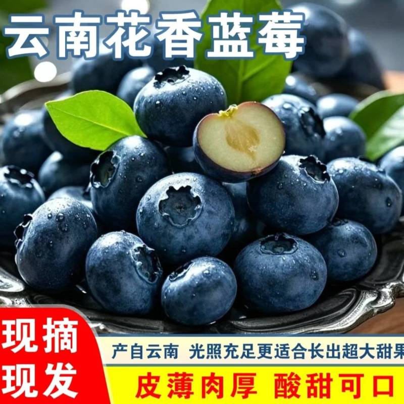 一件代发～云南花香蓝莓～抖音～快手～各大电商平台