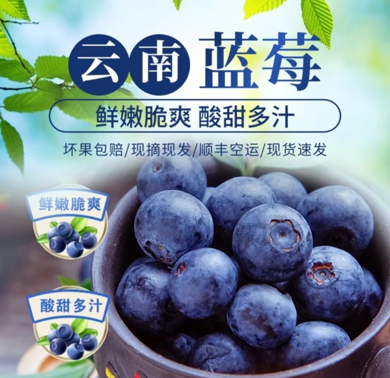 一件代发～云南花香蓝莓～抖音～快手～各大电商平台