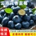 一件代发～云南花香蓝莓～抖音～快手～各大电商平台