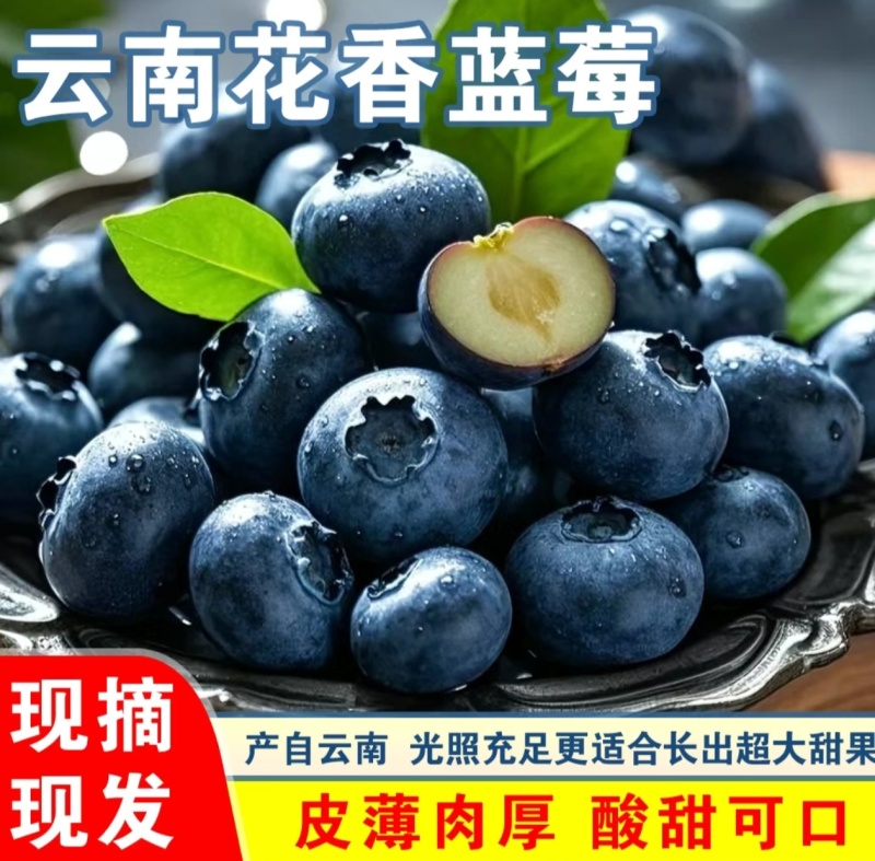 一件代发～云南花香蓝莓～抖音～快手～各大电商平台