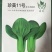 珍美11号-青梗菜种子耐抽苔抗病性强生长快