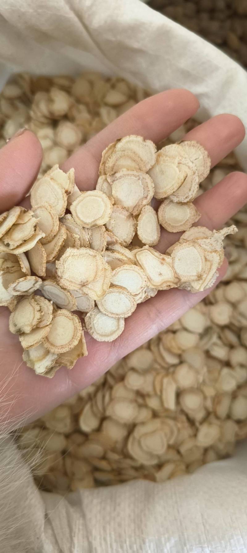 《热销》西洋参片（祥泰药材栈）花旗参片规格1.6中药材