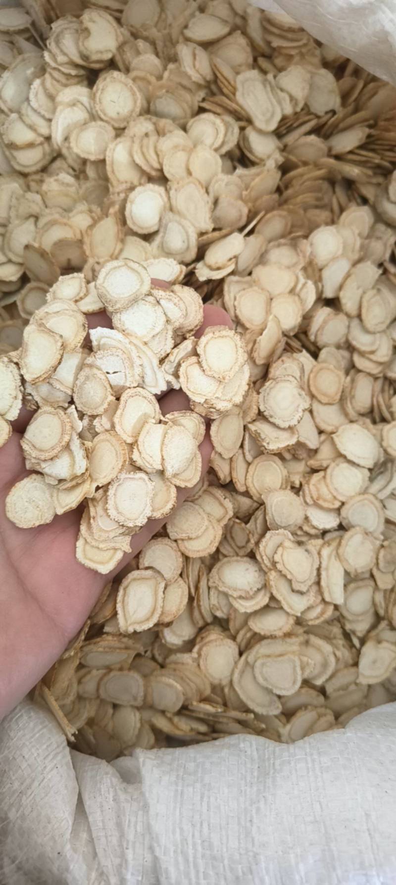《热销》西洋参片（祥泰药材栈）花旗参片规格1.6中药材
