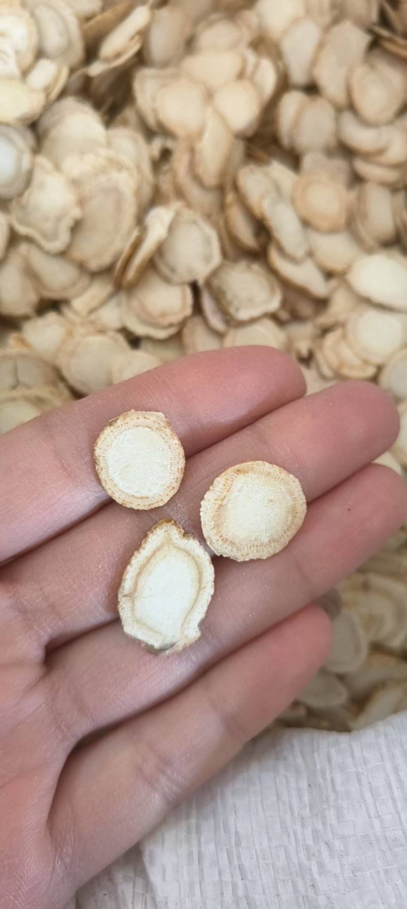 《热销》西洋参片（祥泰药材栈）花旗参片规格1.6中药材