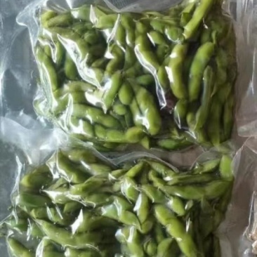 毛豆新货实拍，品质看得见