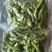 毛豆新货实拍，品质看得见