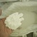 速溶硼四水八硼酸二钠叶面肥硼肥农用植物微量元素速溶硼
