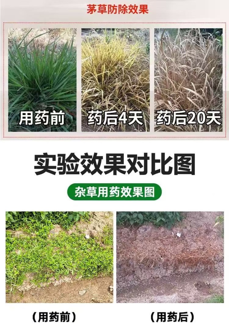 滴酸草甘磷（红牛烧）内吸烂根型除草剂，厂家直供