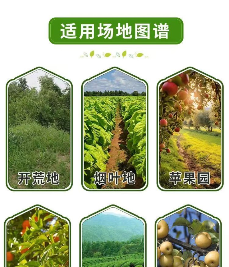 32%滴酸草甘磷（酸灭草）广西老牌树林地开慌强效烂根