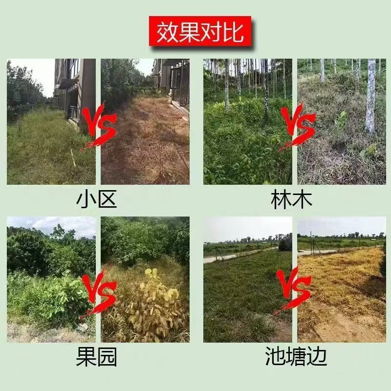 32%滴酸草甘磷（酸灭草）广西老牌树林地开慌强效烂根