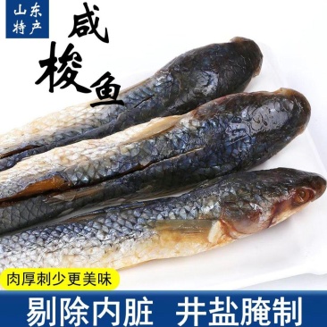 特产咸梭鱼，厂家直销，支持一件代发批发！