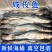 特产咸梭鱼，厂家直销，支持一件代发批发！