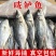 新鲜鲈鱼厂家直销，支持一件代发批发团购