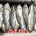 新鲜鲈鱼厂家直销，支持一件代发批发团购