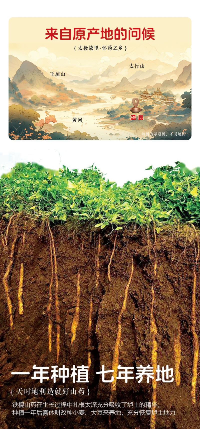 冻干山药粉，铁棍山药粉，产地现货，铁棍山药保质保量对接全国