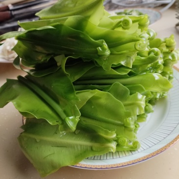 台湾山苏菜