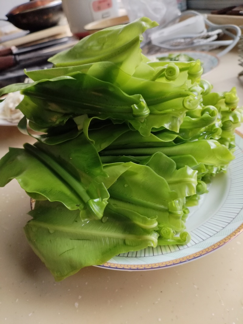 台湾山苏菜