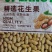 花生果天府三小日本，精选花生果