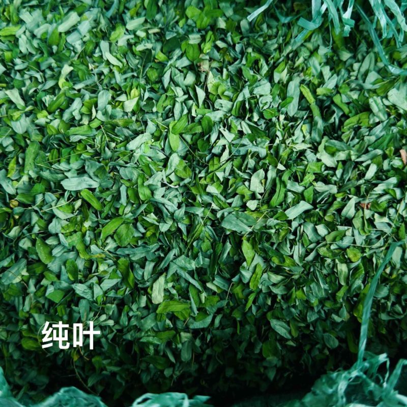 靓鸡骨草纯叶、相思叶