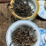古树红茶