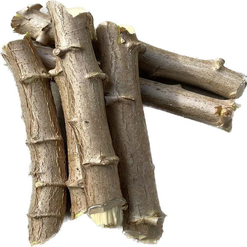 华南9号黄心木薯糖水木薯种苗黄肉木薯种苗