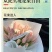 荷兰郁金香种球室内外阳台盆栽好养花苗水养绿化花海植物花