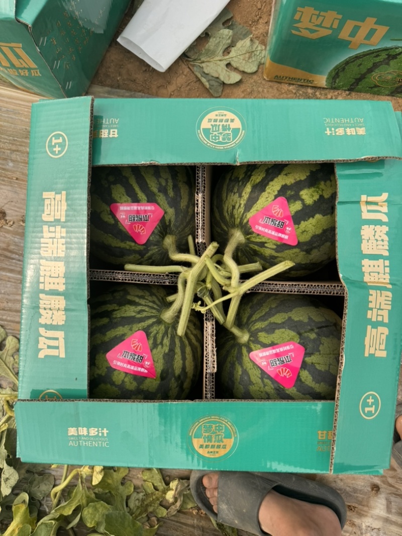 河南夏邑麒麟美都西瓜可视频订货诚信经营产地实力代发